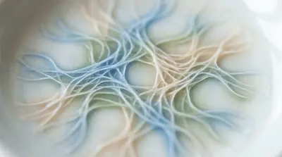 Une illustration abstraite montrant un réseau complexe de filaments entrelacés dans des tons bleu et beige.