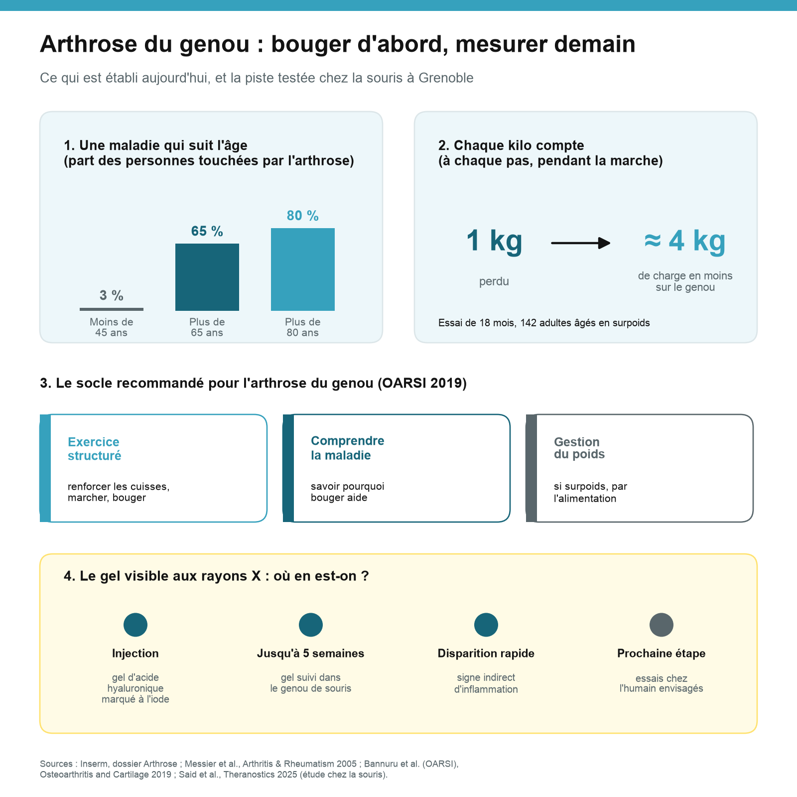 Infographie : l’arthrose touche 3 % des moins de 45 ans, 65 % des plus de 65 ans et 80 % des plus de 80 ans ; 1 kg perdu allège le genou d’environ 4 kg à chaque pas ; le socle recommandé associe exercice, information et gestion du poids ; le gel grenoblois a été suivi jusqu’à 5 semaines chez la souris.