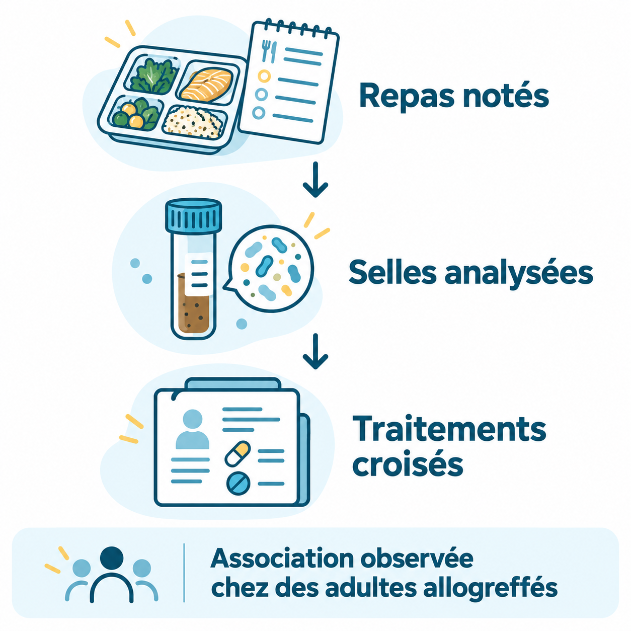 Repas notés, selles analysées et traitements croisés : une association observée chez des adultes allogreffés.