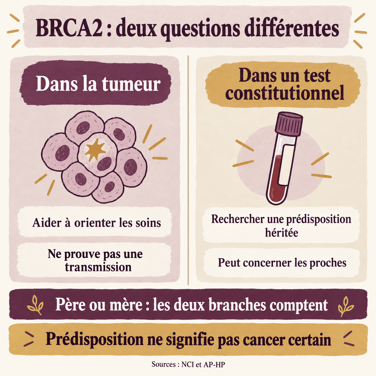 Distinction entre une analyse de BRCA2 dans la tumeur, utile aux soins, et un test constitutionnel recherchant une prédisposition héritée.