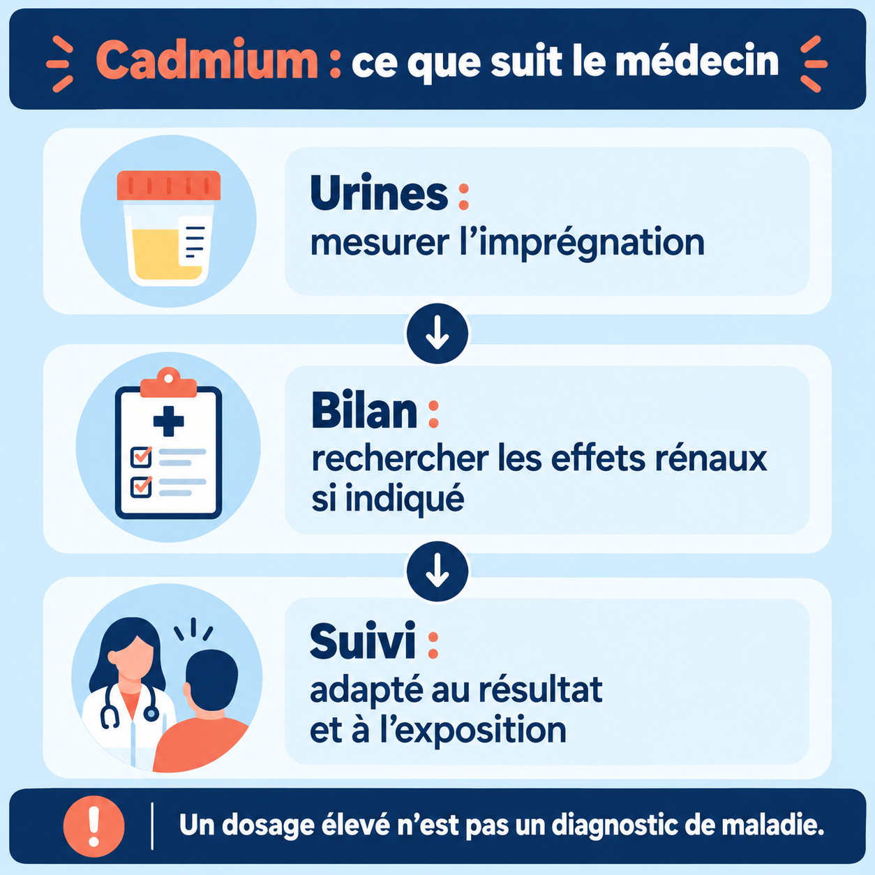 Le dosage urinaire, le bilan rénal indiqué et le suivi répondent à des questions distinctes.